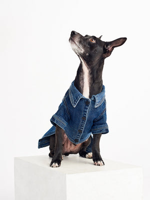 FIDO JACKET - CANINE TRUCKER PUPPY BREATH