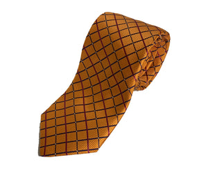 Dion Men's 100% Silk Neck Tie - Orange  - BNWT