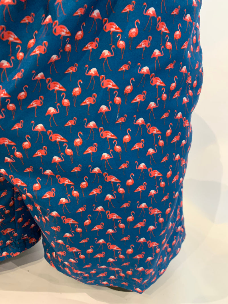 Soul Of London Swim Trunks / Shorts - Flamingos