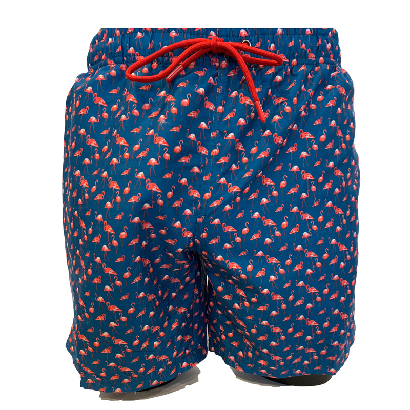 Soul Of London Swim Trunks / Shorts - Flamingos